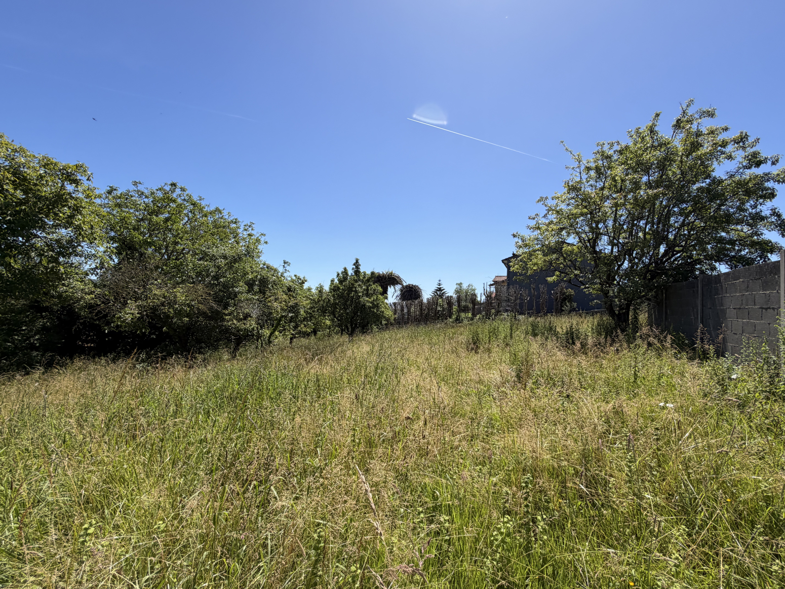 Fincas y solares-Venta-Santillana del Mar-2348959-Foto-14