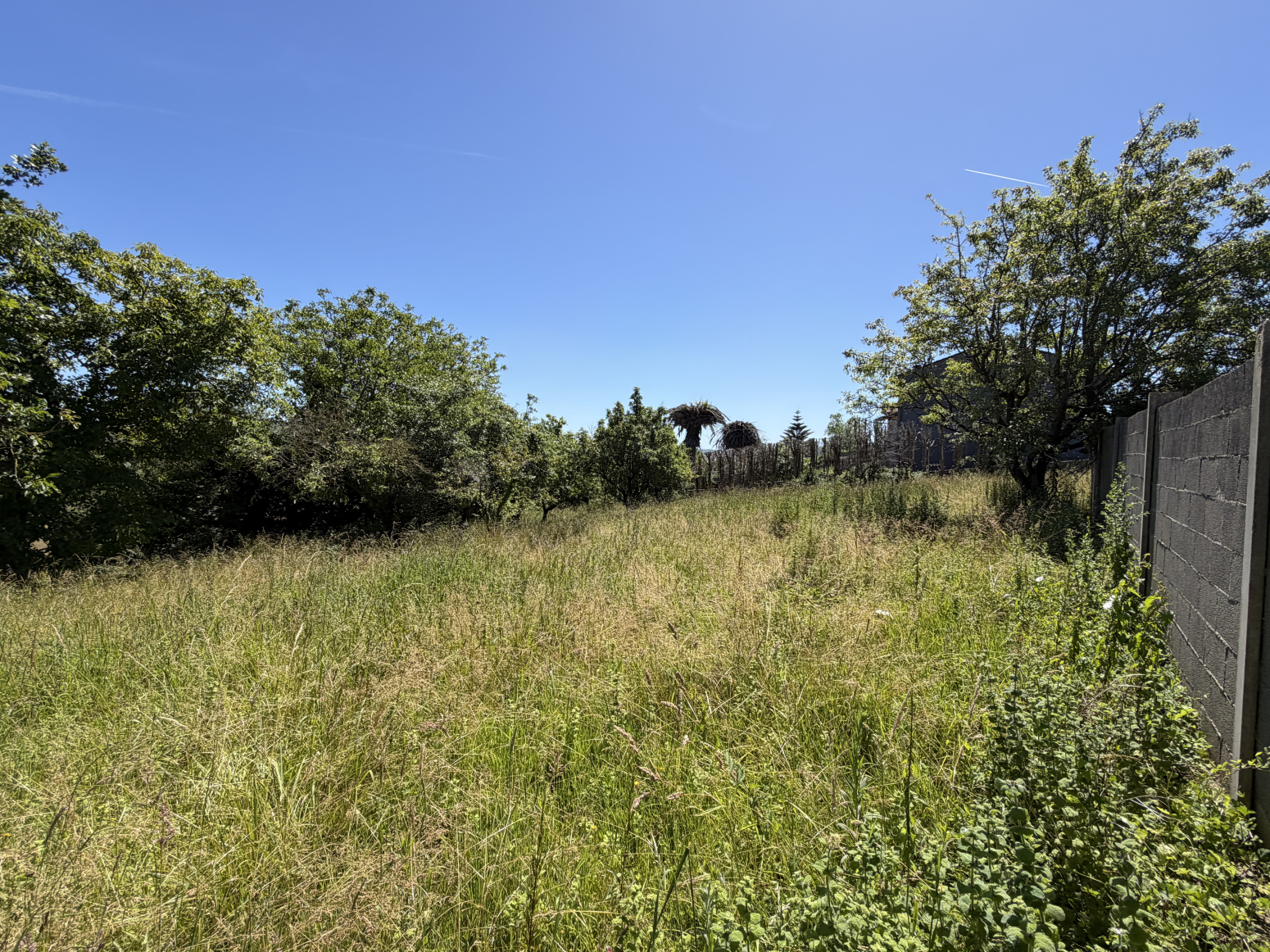 Fincas y solares-Venta-Santillana del Mar-2348959-Foto-10