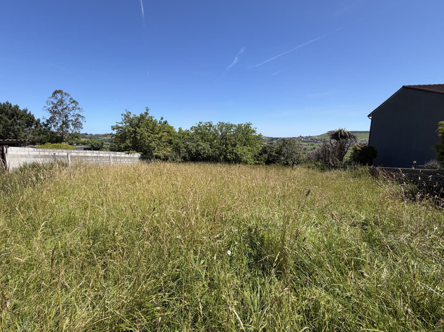 Fincas y solares-Venta-Santillana del Mar-2348959-Foto-2