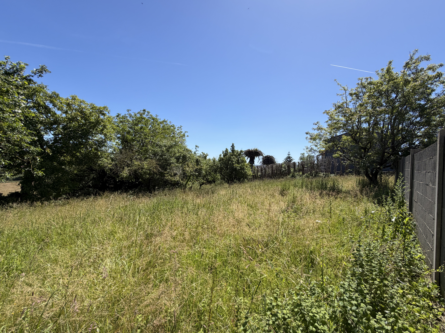 Fincas y solares-Venta-Santillana del Mar-2348959-Foto-13