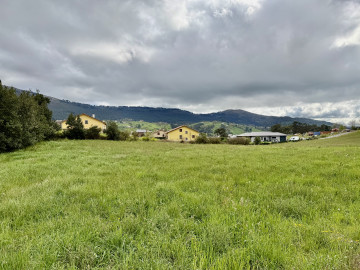 Fincas y solares-Venta-Marina de Cudeyo-2348963-Foto-9-Carrousel