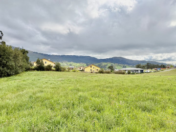 Fincas y solares-Venta-Marina de Cudeyo-2348963-Foto-4-Carrousel