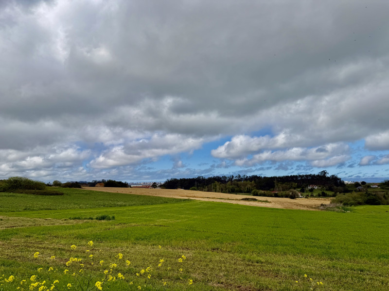TERRENO URBANO EN VENTA EN PONTEJOS