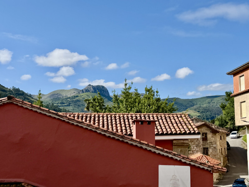 SEÑORIAL VIVIENDA EN LIÉRGANES