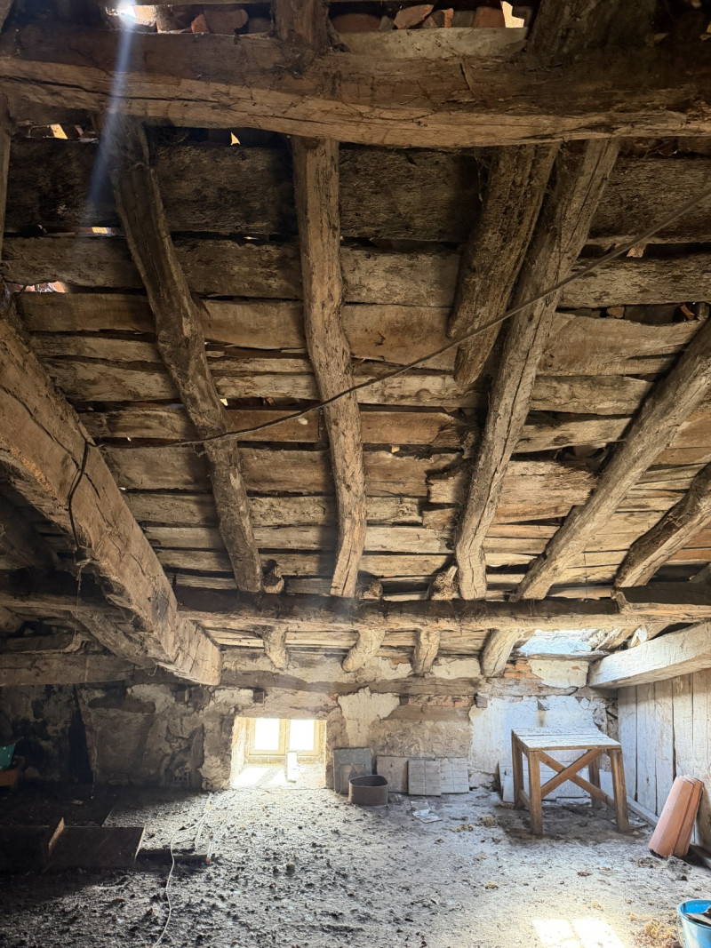 SEÑORIAL VIVIENDA EN LIÉRGANES