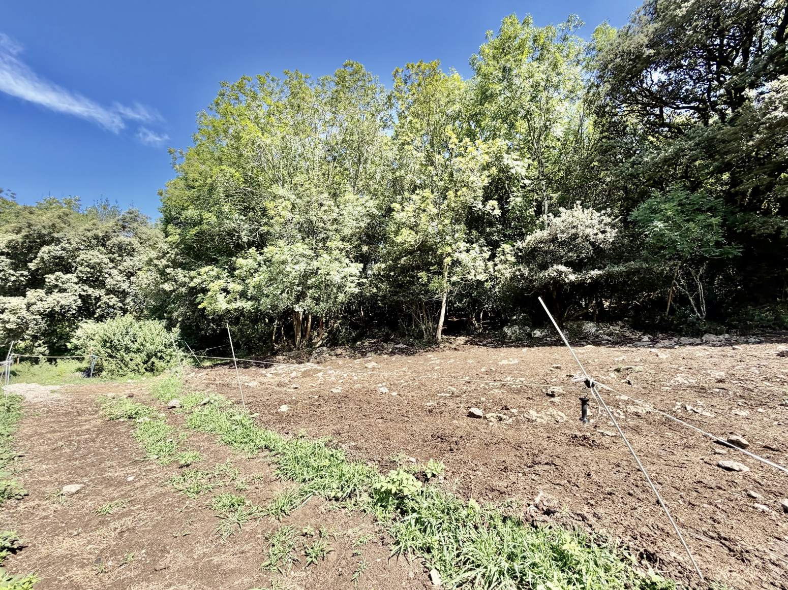 Casas o chalets-Venta-RibamontÃ¡n al Monte-2362866-Foto-35