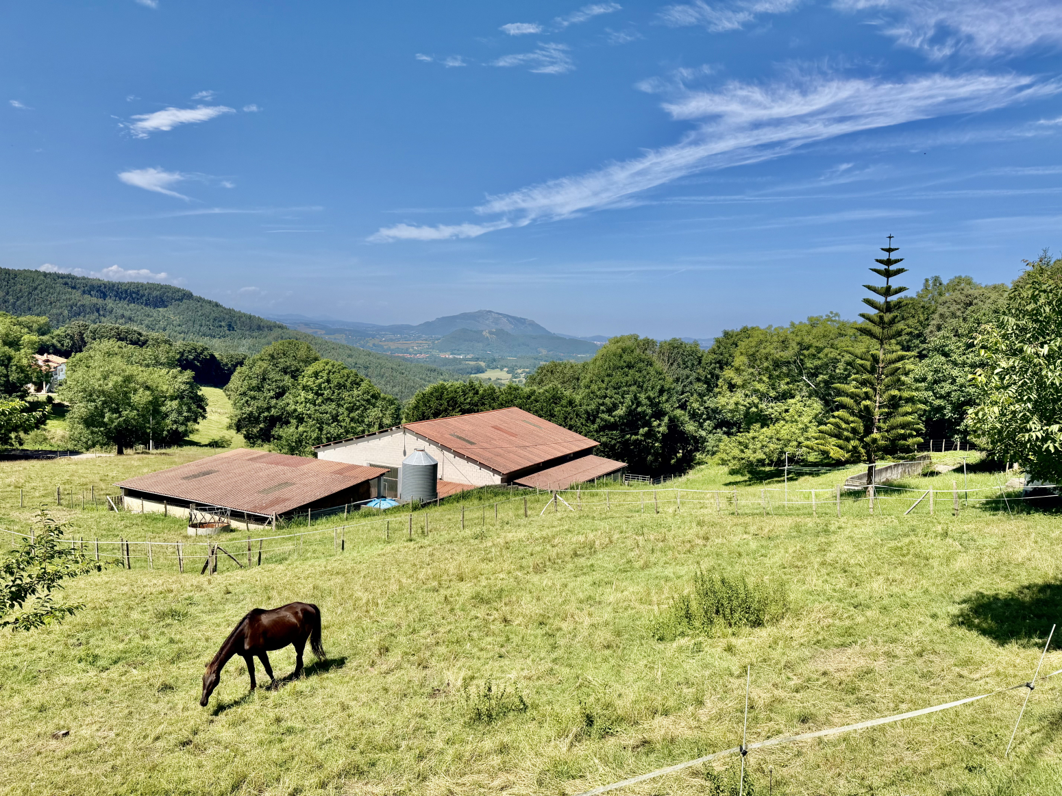 Casas o chalets-Venta-RibamontÃ¡n al Monte-2362866-Foto-3