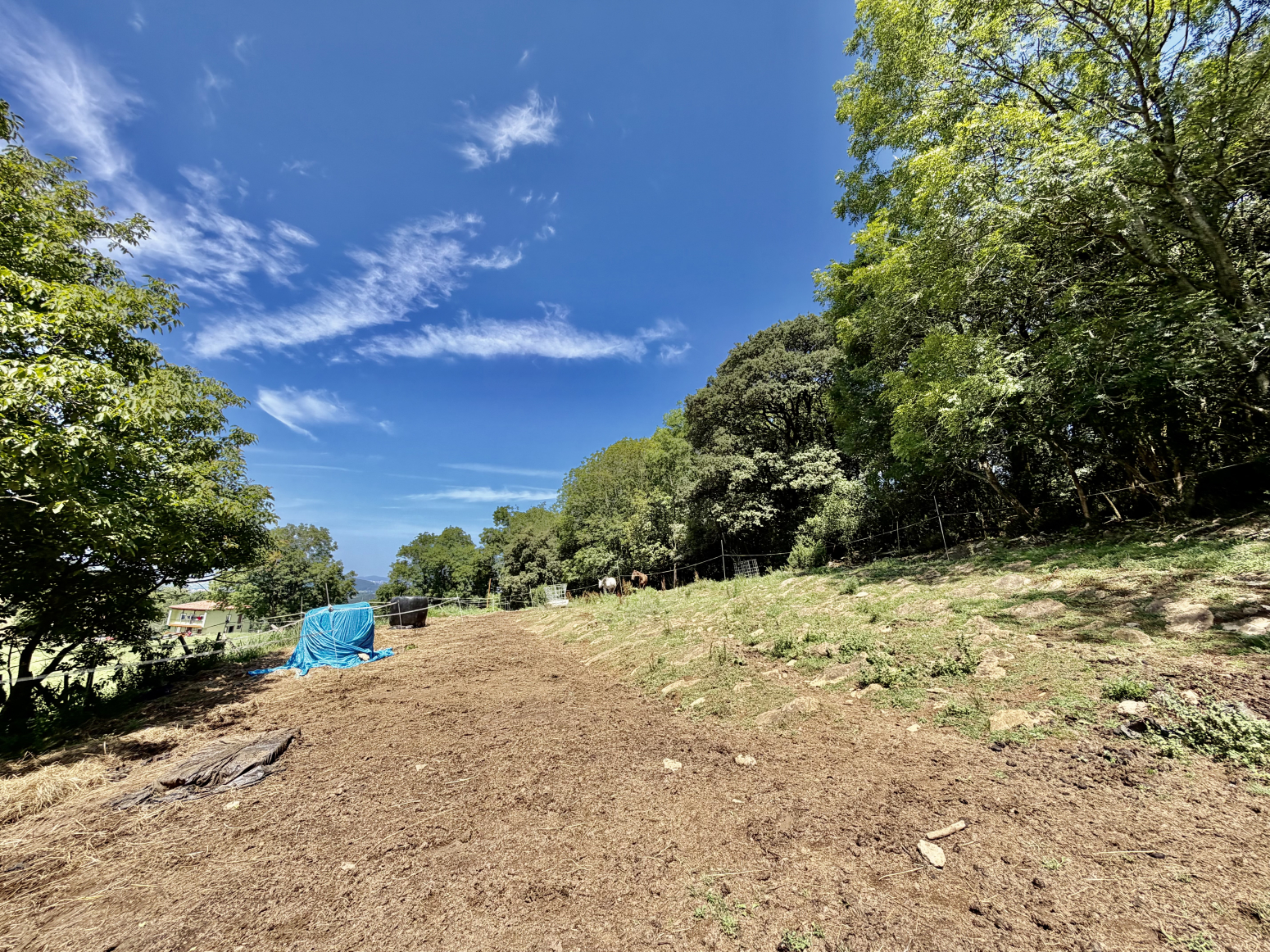 Casas o chalets-Venta-RibamontÃ¡n al Monte-2362866-Foto-39