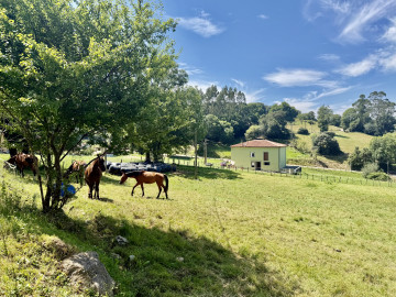 Casas o chalets-Venta-RibamontÃ¡n al Monte-2362866-Foto-33-Carrousel