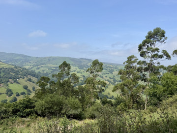 Casas o chalets-Venta-LiÃ©rganes-2364761-Foto-12-Carrousel