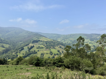 Casas o chalets-Venta-LiÃ©rganes-2364761-Foto-13-Carrousel