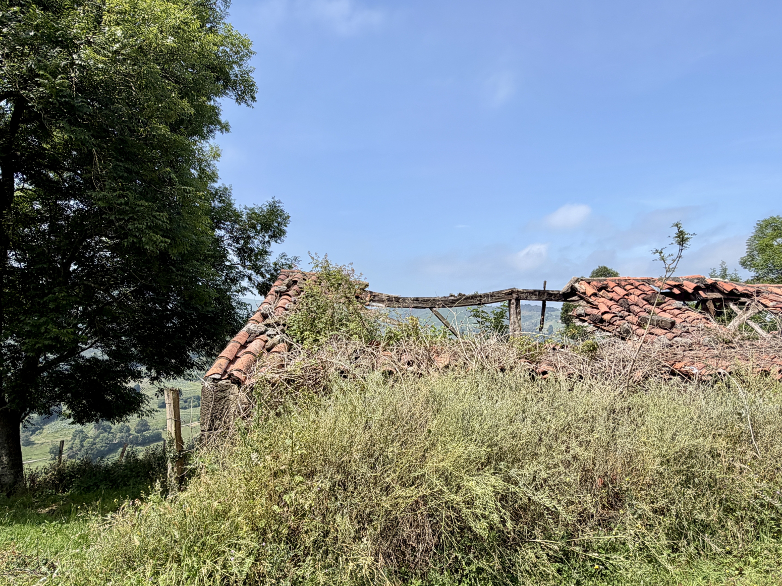 Casas o chalets-Venta-LiÃ©rganes-2364761-Foto-17