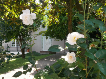 Casas o chalets-Venta-RibamontÃ¡n al Monte-918935-Foto-4-Carrousel
