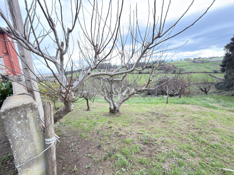 Imagen 9