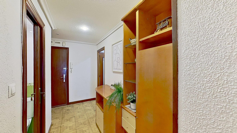 Imagen 11