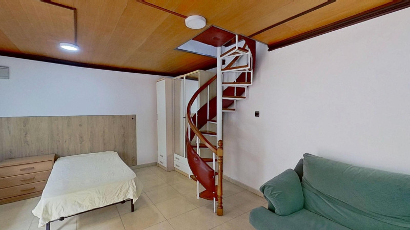 Imagen 5