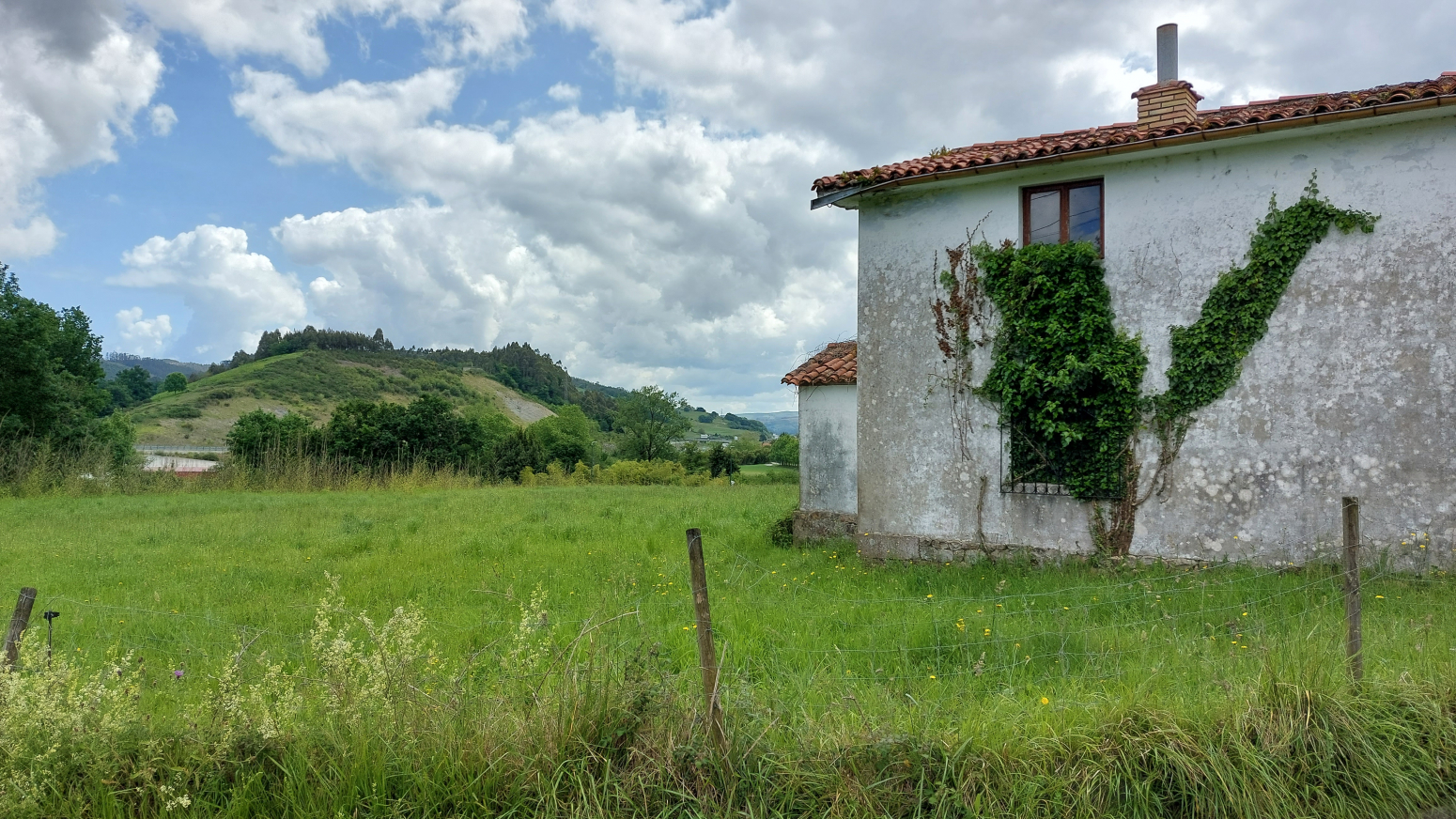 Fincas y solares-Venta-CastaÃ±eda-906337-Foto-17