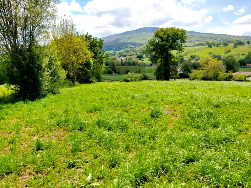 Venta de Fincas y solares en Iruz