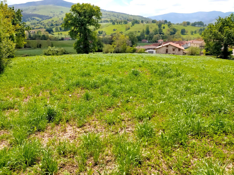 Venta de Fincas y solares en Iruz