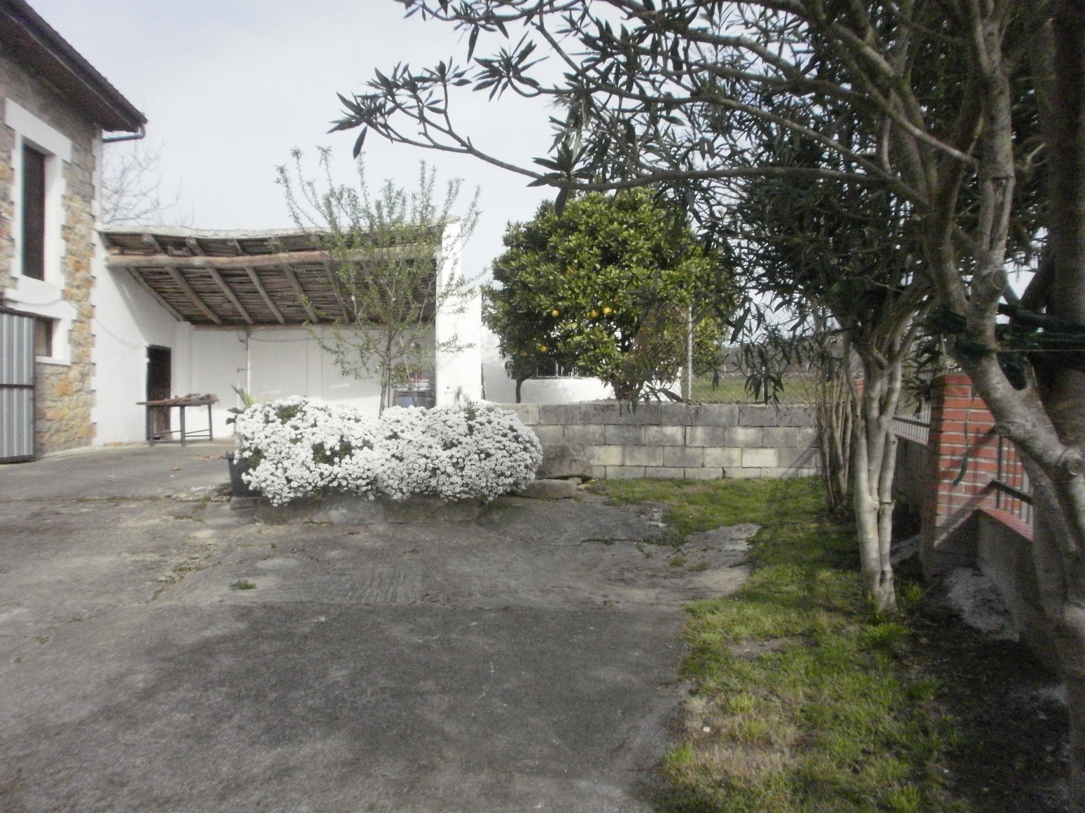 Casas o chalets-Venta-Alfoz de Lloredo-159256-Foto-22