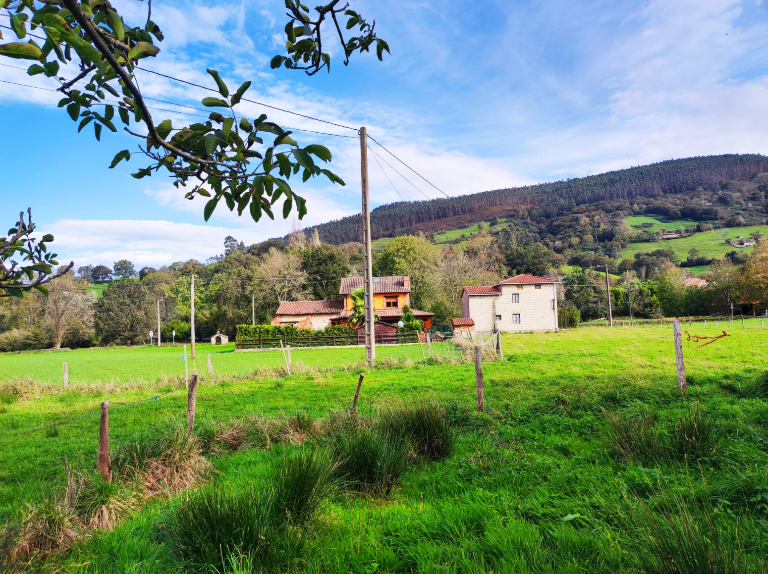 Fincas y solares-Venta-Santa MarÃ­a de CayÃ³n-1652218-Foto-2