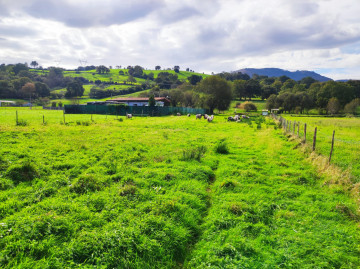 Fincas y solares-Venta-Santa María de Cayón-1652218