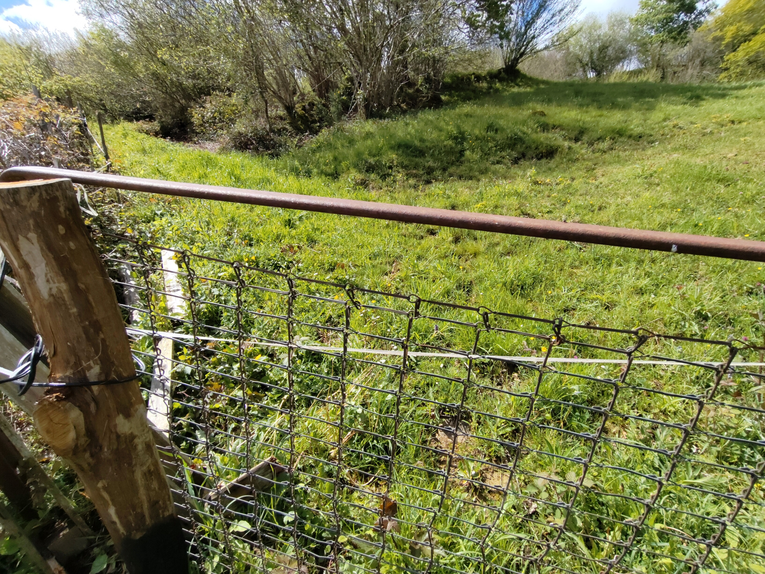 Fincas y solares-Venta-Rionansa-1719048-Foto-3