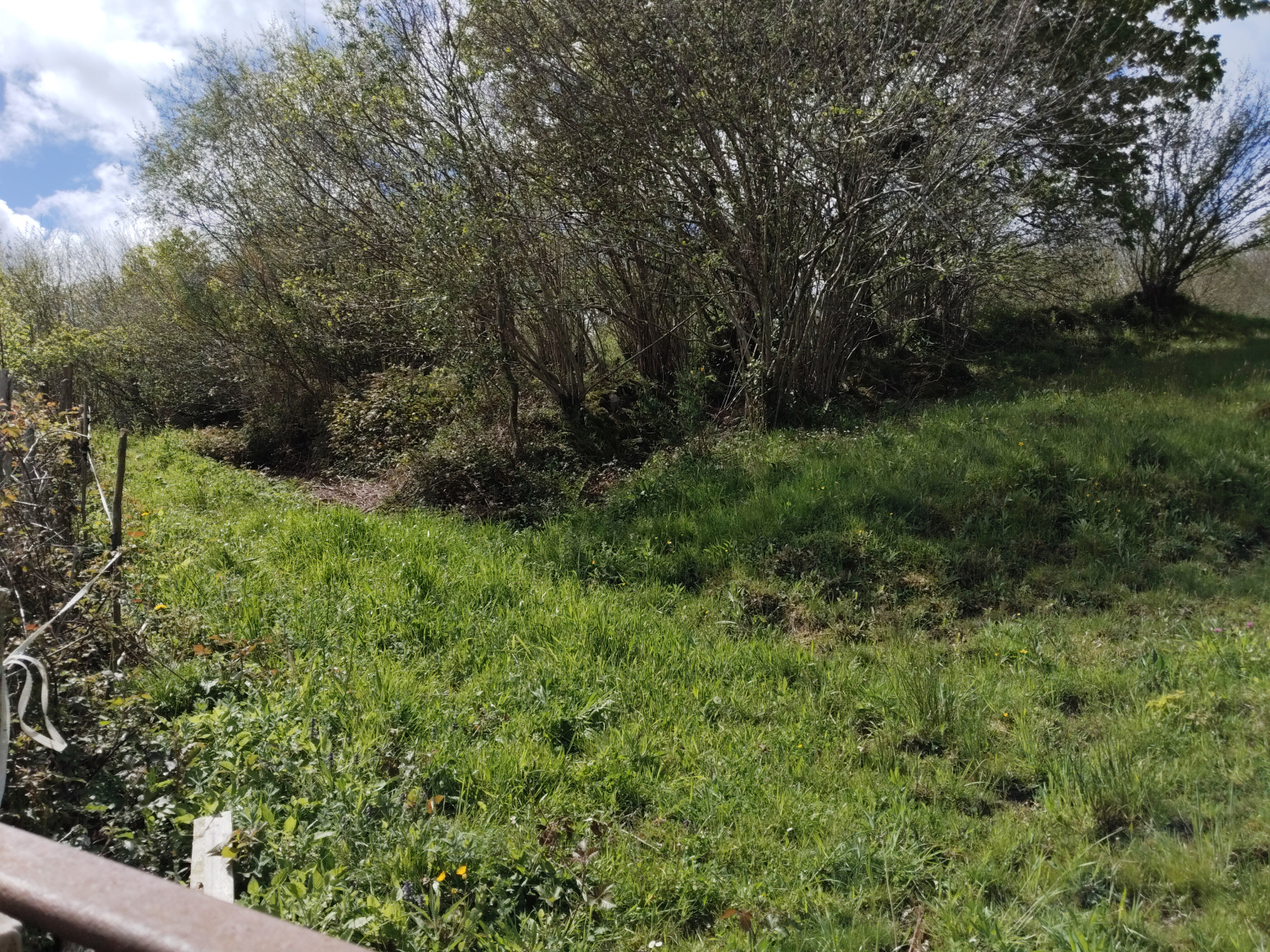 Fincas y solares-Venta-Rionansa-1719048-Foto-4