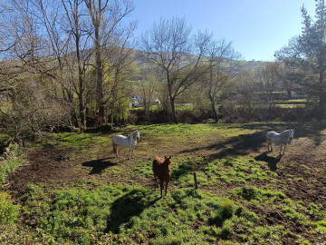 Fincas y solares-Venta-Selaya-1720336-Foto-2-Carrousel