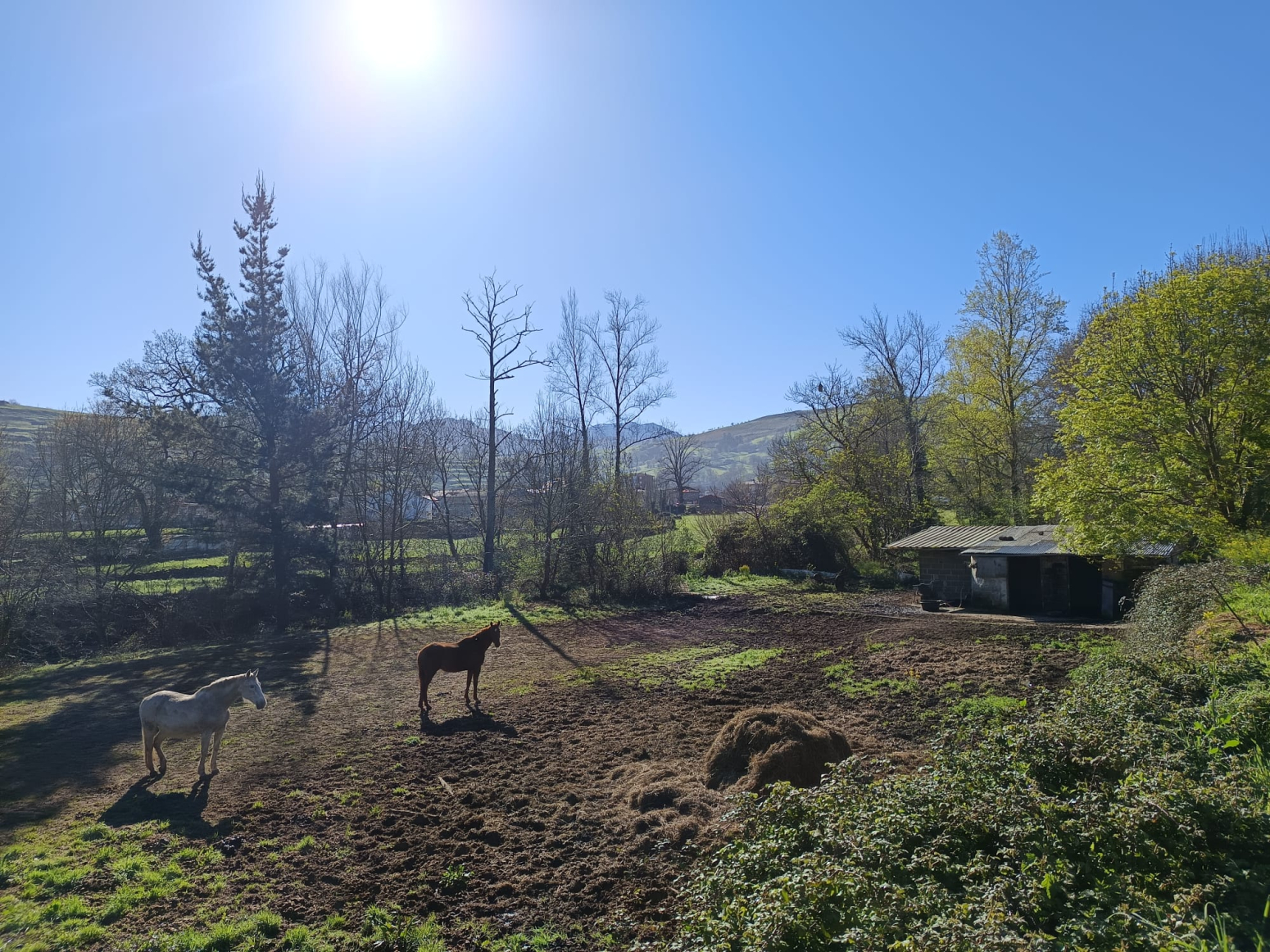 Fincas y solares-Venta-Selaya-1720336-Foto-4