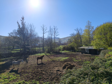 Fincas y solares-Venta-Selaya-1720336-Foto-3-Carrousel