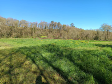 Fincas y solares-Venta-Selaya-1720336-Foto-5-Carrousel