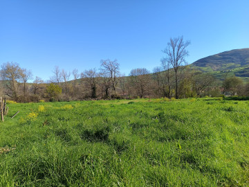 Fincas y solares-Venta-Selaya-1720336-Foto-6-Carrousel