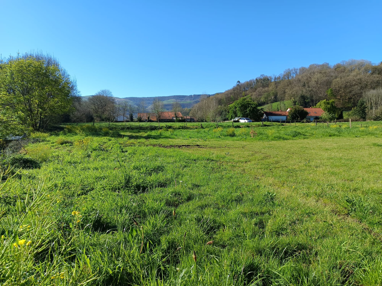 Fincas y solares-Venta-Selaya-1720336-Foto-1