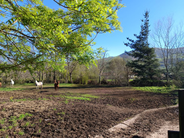 Fincas y solares-Venta-Selaya-1720336-Foto-4-Carrousel