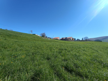 Fincas y solares-Venta-Villacarriedo-1720350-Foto-4-Carrousel