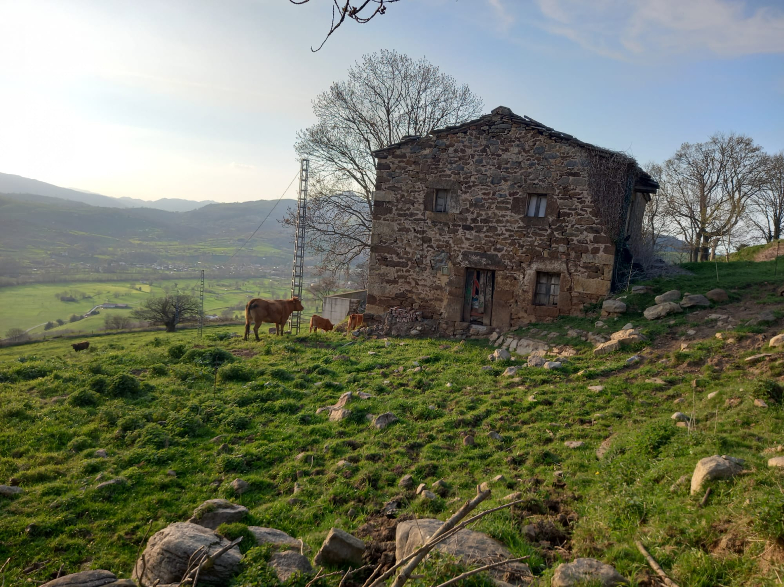 Fincas y solares-Venta-Villacarriedo-1720365-Foto-19