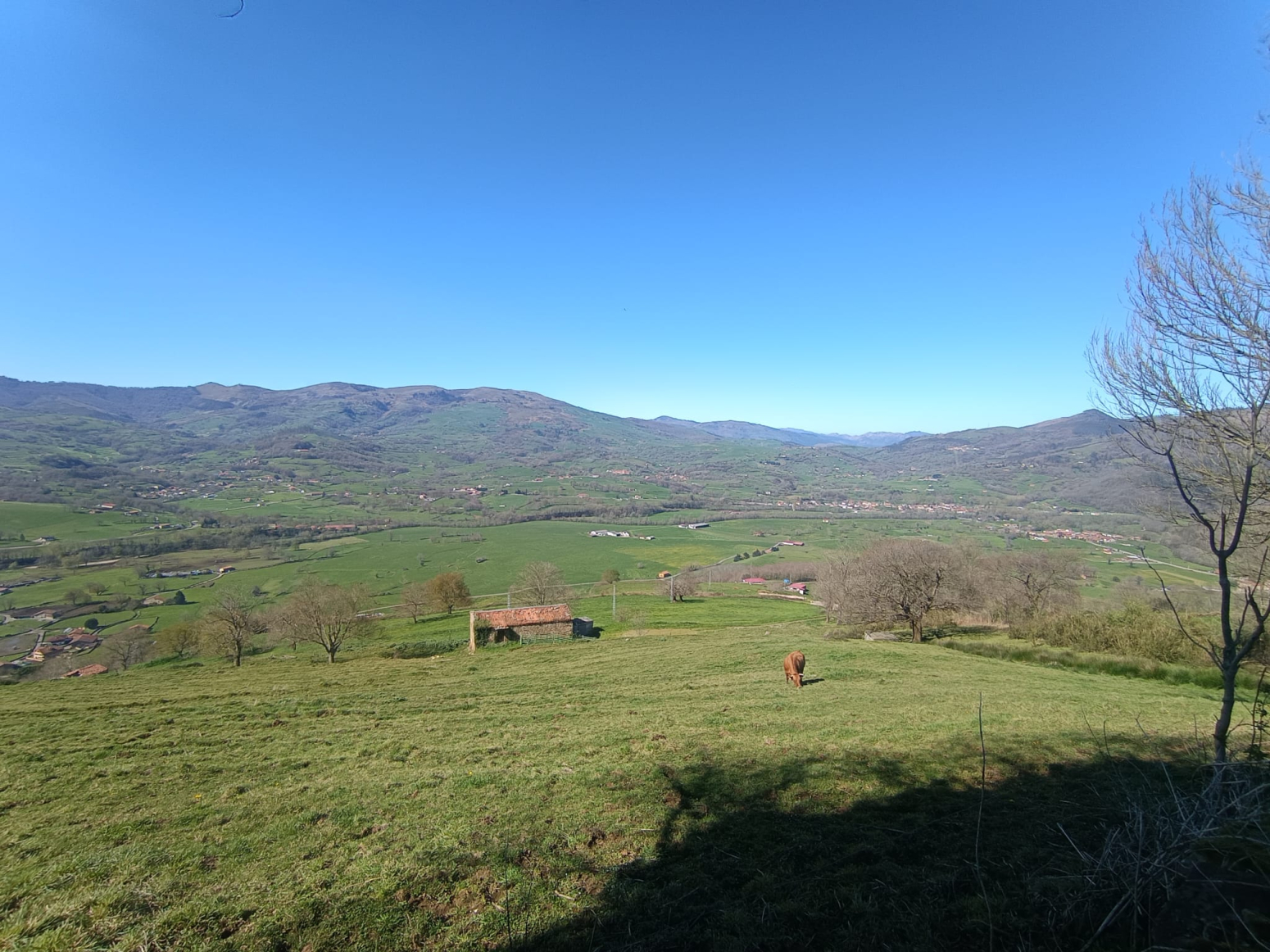 Fincas y solares-Venta-Villacarriedo-1720365-Foto-30