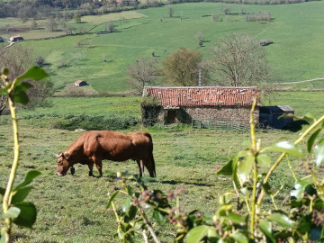 Fincas y solares-Venta-Villacarriedo-1720365-Foto-27-Carrousel