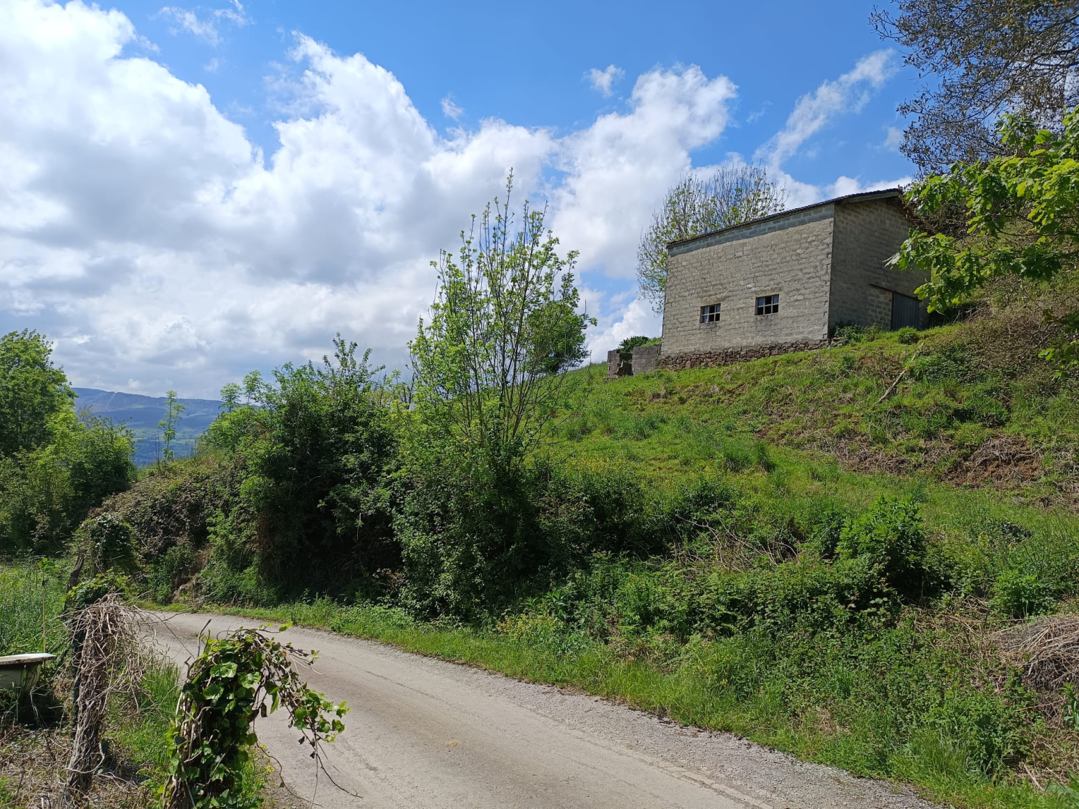 Fincas y solares-Venta-Villacarriedo-1723278-Foto-23