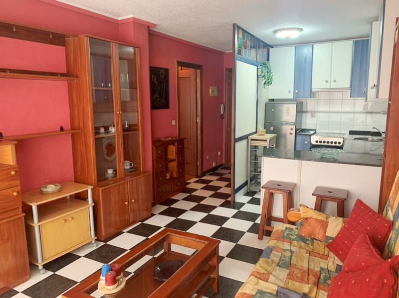 Elegant Studio Living (Demo)