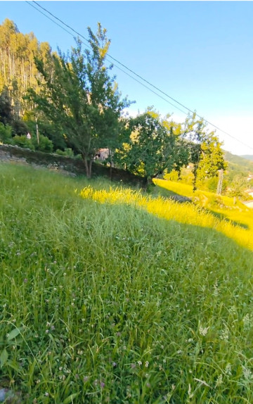 Casas o chalets, Venta