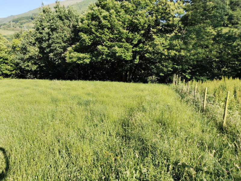 Fincas y solares, Venta