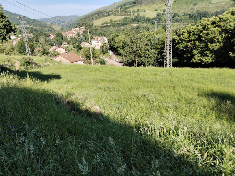 Fincas y solares, Venta