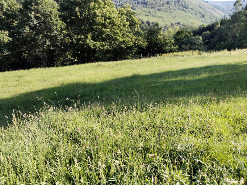 Fincas y solares, Venta