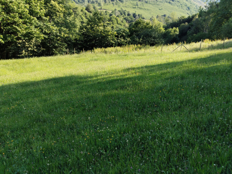Fincas y solares, Venta
