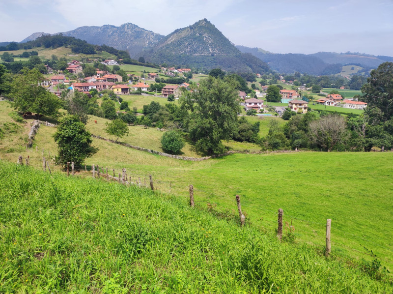 Fincas y solares, Venta