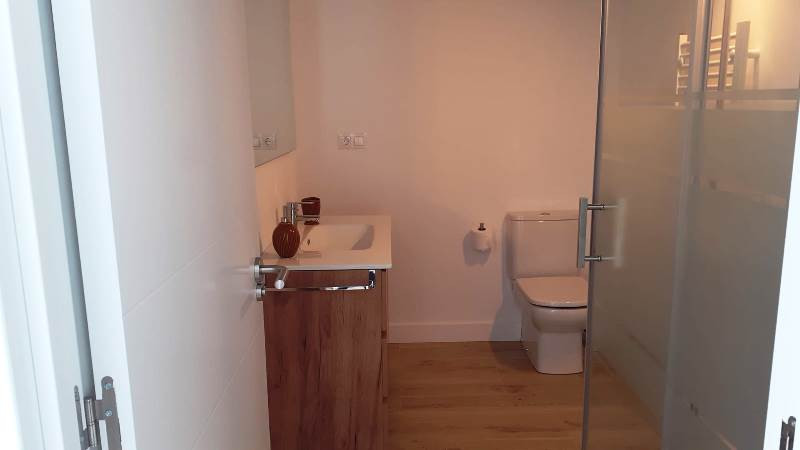 Casas o chalets, Alquiler