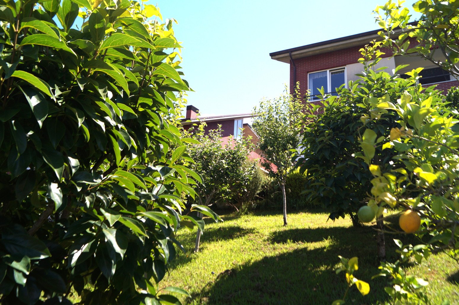 Jardín
