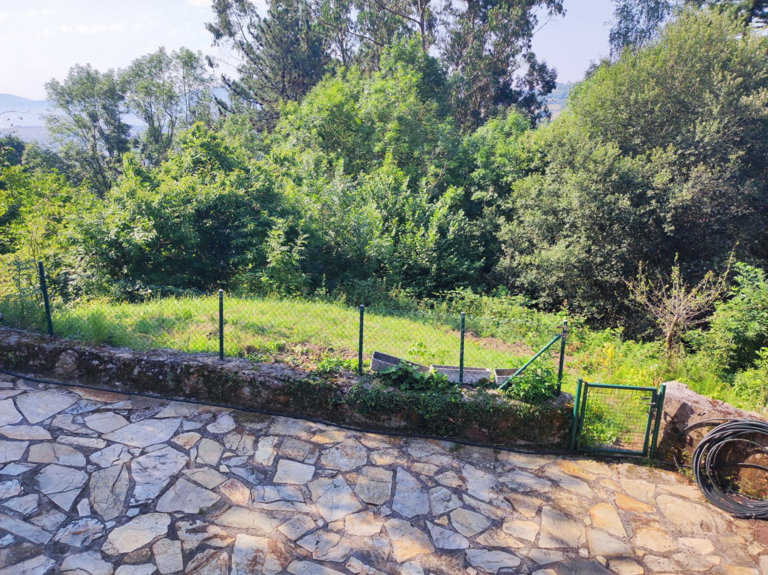 Jardín